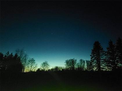 Dark blue evening sky with silhouette of tree line