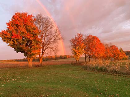 Rainbow over bright orange trees in the fall 
