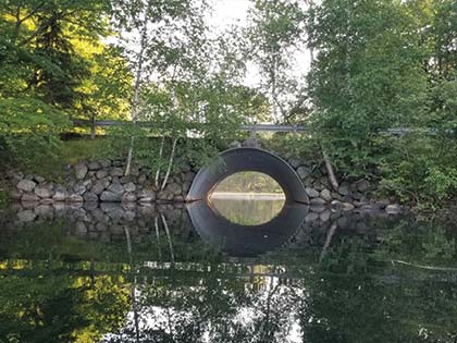 culvert and green trees reflecting in water