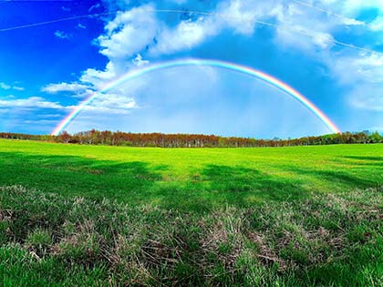 full rainbow arching over green field with a bright blue sky