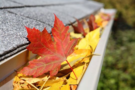 Prepare Your House for the Fall with This Maintenance Checklist
