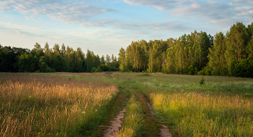Open vacant land with fields and trees, representing rural property and vacant land insurance coverage.