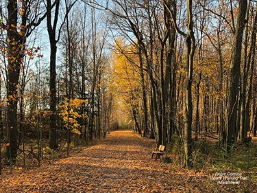 Winners of the 2019 Employee Calendar Photo Contest - Hewitt Walking Trail