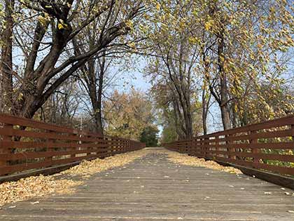 trees in the fall dropping leaves on a wooden bridge