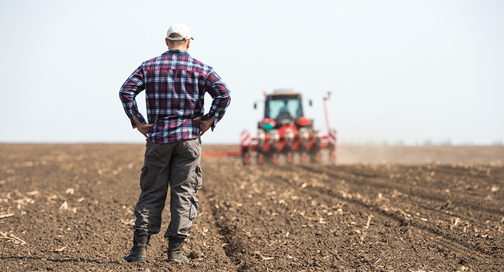 Young farmer standing in a spring field preparing for planting, representing agricultural planning and early season work.
